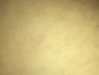 CON LA GORDA DE MI T&Iacute;A