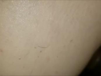 Сосать и трахать моих соседей BBC BULL HUSBAND